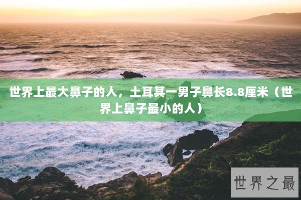 世界上最大鼻子的人，土耳其一男子鼻长8.8厘米（世界上鼻子最小的人）