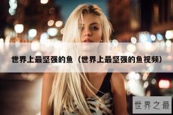 世界上最坚强的鱼（世界上最坚强的鱼视频）