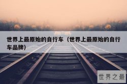 世界上最原始的自行车（世界上最原始的自行车品牌）