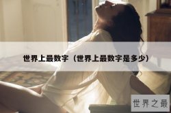 世界上最数字（世界上最数字是多少）