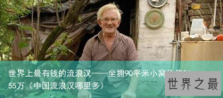 世界上最有钱的流浪汉——坐拥90平米小窝价值2655万（中国流浪汉哪里多）
