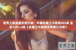 世界上最高最长的大桥，中国北盘江大桥高565米 全长1341.4米（北盘江大桥是世界第几大桥）