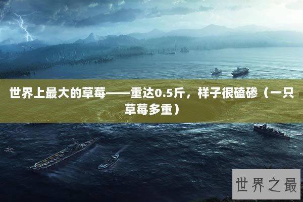 世界上最大的草莓——重达0.5斤，样子很磕碜（一只草莓多重）