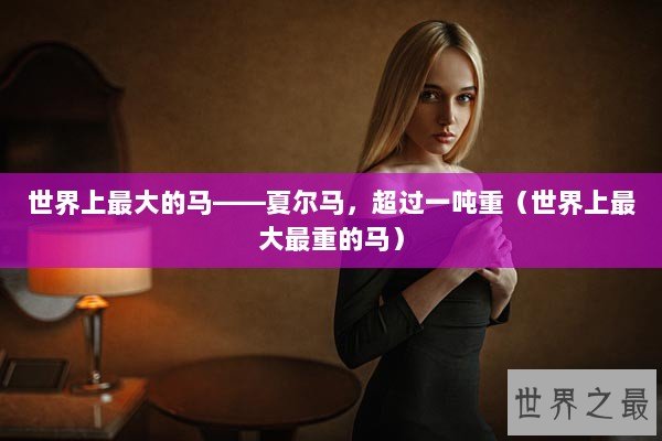 世界上最大的马——夏尔马，超过一吨重（世界上最大最重的马）