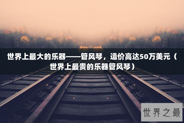 世界上最大的乐器——管风琴，造价高达50万美元（世界上最贵的乐器管风琴）