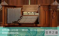 世界上最大的乐器——管风琴，造价高达50万美元（世界上最贵的乐器管风琴）