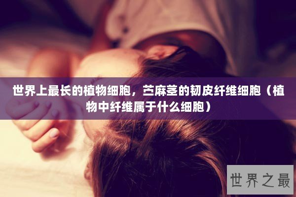 世界上最长的植物细胞，苎麻茎的韧皮纤维细胞（植物中纤维属于什么细胞）