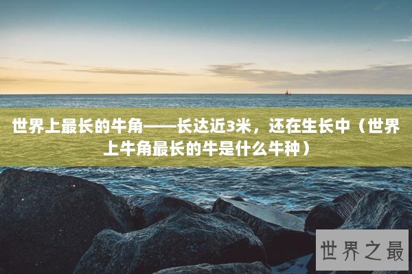 世界上最长的牛角——长达近3米，还在生长中（世界上牛角最长的牛是什么牛种）