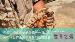 世界上绝食最长的动物——具足虫，绝食5年才死亡（世界上生命最长的动物是哪一个动物）