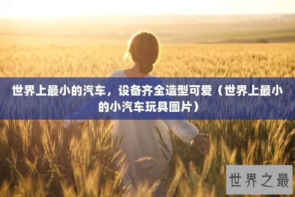 世界上最小的汽车，设备齐全造型可爱（世界上最小的小汽车玩具图片）