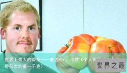 世界上最大的番茄——重达8斤，可供10个人食用（几个番茄大约重一千克）