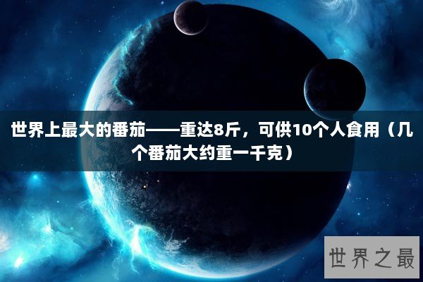 世界上最大的番茄——重达8斤，可供10个人食用（几个番茄大约重一千克）