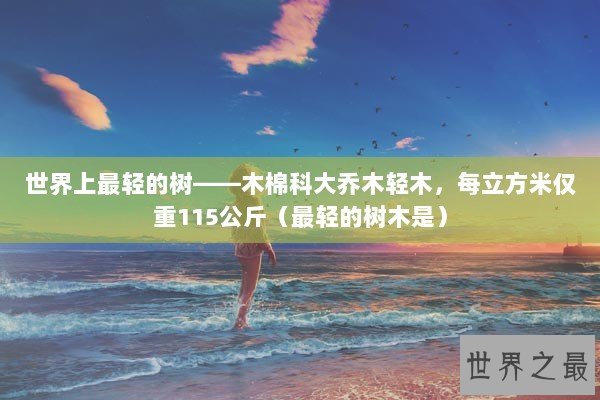 世界上最轻的树——木棉科大乔木轻木，每立方米仅重115公斤（最轻的树木是）