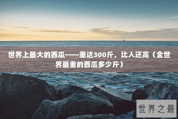 世界上最大的西瓜——重达300斤，比人还高（全世界最重的西瓜多少斤）