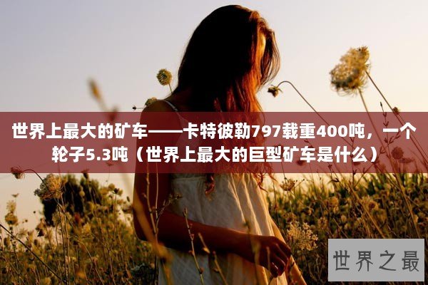 世界上最大的矿车——卡特彼勒797载重400吨,一个轮子5.3吨(世界上最大的巨型矿车是什么) 世界上最大的矿车——卡特彼勒797载重400吨,一个轮子5.3吨(世界上最大的巨型矿车是什么)