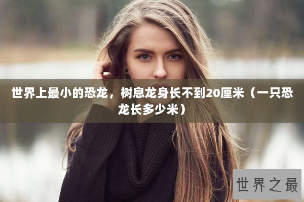 世界上最小的恐龙，树息龙身长不到20厘米（一只恐龙长多少米）
