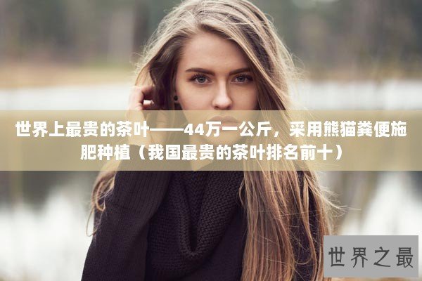 世界上最贵的茶叶——44万一公斤，采用熊猫粪便施肥种植（我国最贵的茶叶排名前十）