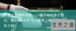 世界上最贵的手包——镶了4500多个钻石，售价380万美元（世界上最贵的包要多少钱）