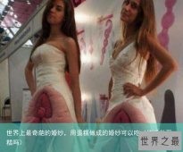 世界上最奇葩的婚纱，用蛋糕做成的婚纱可以吃（结婚做蛋糕吗）