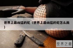 世界上最凶猛的蛇（世界上最凶猛的蛇怎么画）