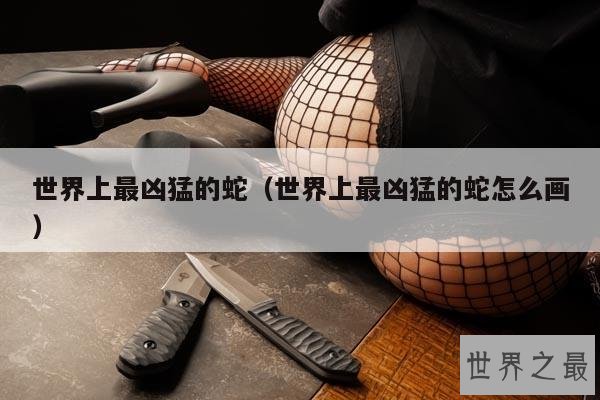 世界上最凶猛的蛇(世界上最凶猛的蛇怎么画)