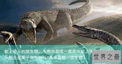 世上最小的微生物，水熊虫是唯一能在火星上生存的生物（水熊虫是属于微生物吗?具体是哪一