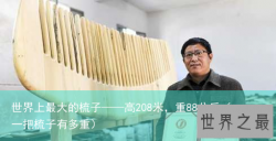 世界上最大的梳子——高208米，重88公斤（一把梳子有多重）