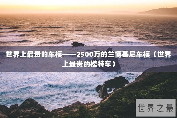 世界上最贵的车模——2500万的兰博基尼车模（世界上最贵的模特车）
