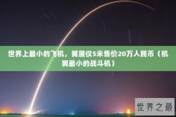 世界上最小的飞机，翼展仅5米售价20万人民币（机翼最小的战斗机）
