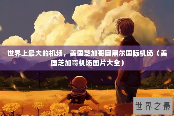 世界上最大的机场,美国芝加哥奥黑尔国际机场(美国芝加哥机场图片大全) 世界上最大的机场,美国芝加哥奥黑尔国际机场(美国芝加哥机场图片大全)