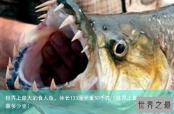 世界上最大的食人鱼，体长133厘米重50千克（世界上最小的鱼重多少克）