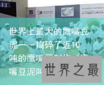 世界上最大的鹰嘴豆泥——捣碎了近10吨的鹰嘴豆制作（鹰嘴豆泥叫什么）