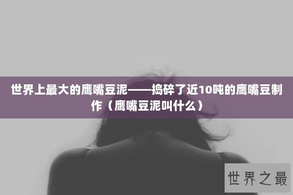 世界上最大的鹰嘴豆泥——捣碎了近10吨的鹰嘴豆制作（鹰嘴豆泥叫什么）