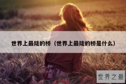 世界上最陡的桥（世界上最陡的桥是什么）