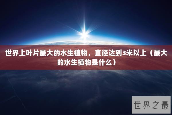世界上叶片最大的水生植物，直径达到3米以上（最大的水生植物是什么）
