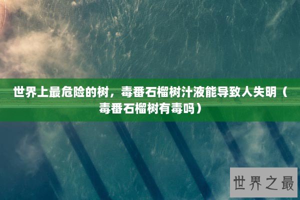 世界上最危险的树，毒番石榴树汁液能导致人失明（毒番石榴树有毒吗）