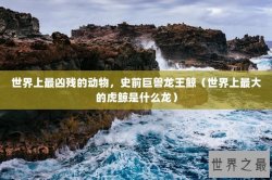世界上最凶残的动物，史前巨兽龙王鲸（世界上最大的虎鲸是什么龙）