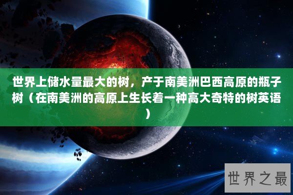 世界上储水量最大的树,产于南美洲巴西高原的瓶子树(在南美洲的高原上生长着一种高大奇特的树英语) 世界上储水量最大的树,产于南美洲巴西高原的瓶子树(在南美洲的高原上生长着一种高大奇特的树英语)