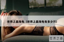 世界上最海龟（世界上最海龟有多少只）