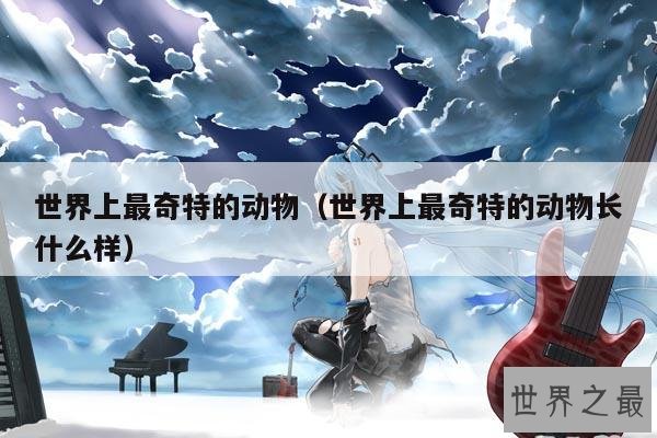 世界上最奇特的动物(世界上最奇特的动物长什么样)