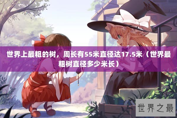 世界上最粗的树，周长有55米直径达17.5米（世界最粗树直径多少米长）