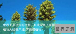 世界上最恐怖的植物，眼镜蛇瓶子草能诱捕黄蜂（植物大战僵尸2世界最强植物）