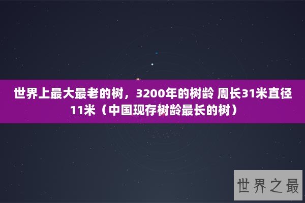 世界上最大最老的树，3200年的树龄 周长31米直径11米（中国现存树龄最长的树）