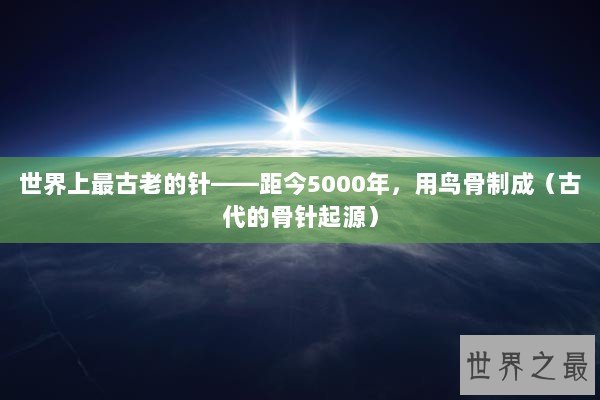 世界上最古老的针——距今5000年,用鸟骨制成(古代的骨针起源) 世界上最古老的针——距今5000年,用鸟骨制成(古代的骨针起源)