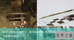 世界上最古老的针——距今5000年，用鸟骨制成（古代的骨针起源）