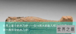 世界上最小的木乃伊——仅16周大的胎儿棺木（世界上第一具怀孕的木乃伊）