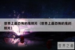 世界上最恐怖的鬼照片（世界上最恐怖的鬼的照片）