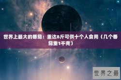 世界上最大的番茄：重达8斤可供十个人食用（几个番茄重1千克）
