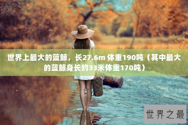 世界上最大的蓝鲸，长27.6m 体重190吨（其中最大的蓝鲸身长约33米体重170吨）