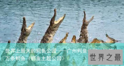 世界上最大的鳄鱼公园——广州鳄鱼公园，饲养十万条鳄鱼（鳄鱼主题公园）